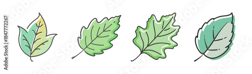 A set of hand-drawn stylized green leaves illustrating nature and plant life elements