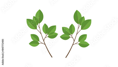 Two Simple Green Branch Designs Isolated on Black Background, Minimalist Nature Element, Organic Symmetry, Decorative Foliage for Modern Websites and Creative Projects
