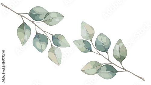 Eucalyptus Leaf Branches on Black Background, Watercolor Style Botanical Art, Natural Decor, Serene Greenery, Soothing Visuals for Wellness Brands and Interior Design