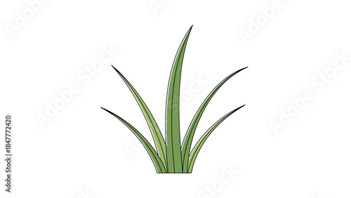 A single green grass cluster with slender blades, isolated on a black background, symbolizing growth, nature, and simple organic beauty.
