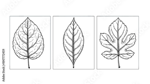 Empty Black Screen Background for Text and Image Overlay, Minimalist Design Canvas, Creative Content Space.