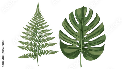 Stunning Watercolor Renderings of Intricate Fern Fronds and Large Monstera Leaf, Capturing Tropical Jungle Flora for Design