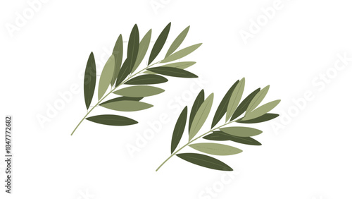 Two Olive Branches with Smooth Green Leaves Displayed Against a Pure Black Background, Symbolizing Peace