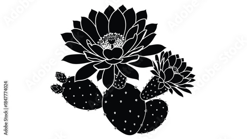 Black silhouette vector illustration of cactus plants with flowers isolated on white background