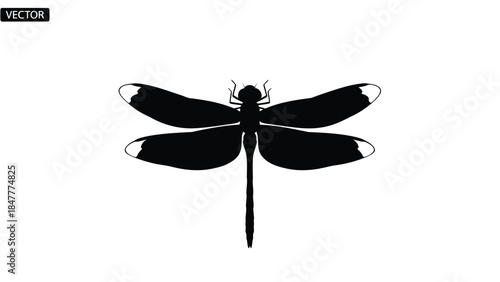 Black dragonfly silhouette vector illustration isolated on white background