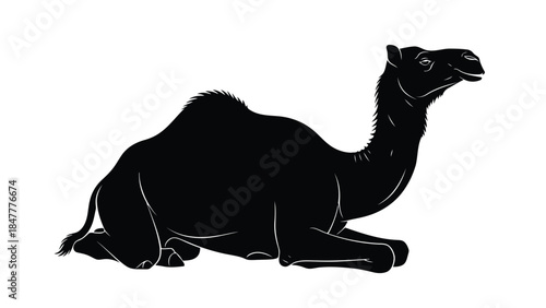 Black silhouette of a camel lying down isolated on white background