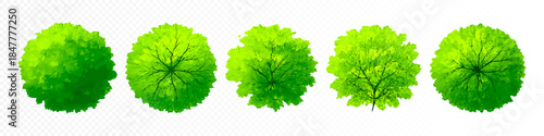 Watercolor trees and bushes top view set with green crowns, hand drawn nature elements isolated on white background for landscape plan, garden design and architecture layout projects. Vector