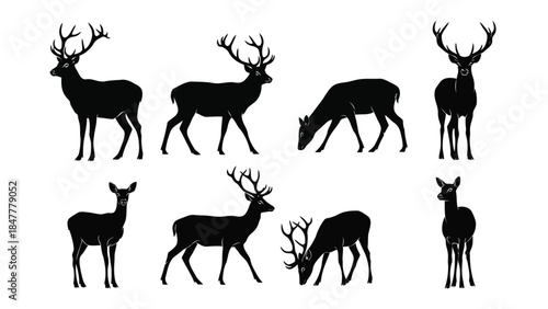 A collection of black deer silhouettes illustrating different poses of stags and does
