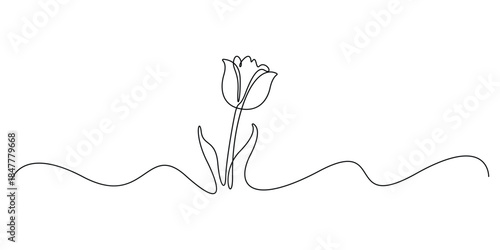 Tulip single line drawing. Abstract flower continuous one line illustration. Minimalist line art tulip. Continuous line drawing of flower tulip. Tulip flower with leaves. Vector illustration