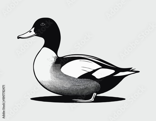 duck in black and white animal illustration