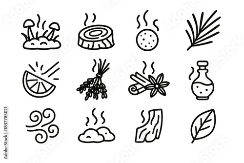 Earthy Aromas Icons. Earthy Aroma Set linear set: mossy forest cue, cedar bark slice, herbal vapor bead, pine needle cluster, citrus mist ray, dried lavender bunch, warm spice
