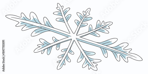 Intricate snowflake design