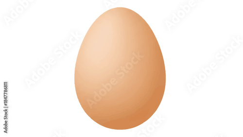 A solitary brown chicken egg against a white background