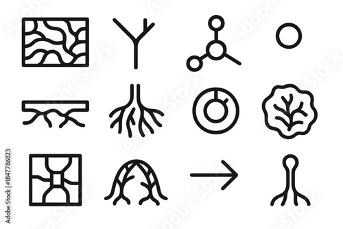 Fungal Network Icons. Fungal Network Architecture linear set: mycelial strand tile, hypha branch node, nutrient exchange hub, spore dispersal dot, substrate interface bar,