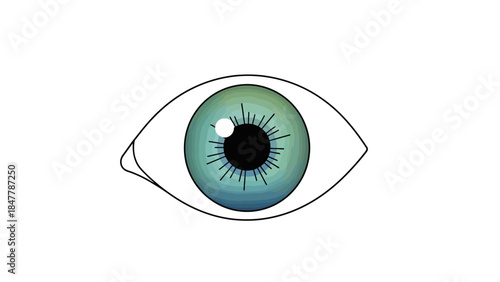 A stylized illustration of a human eye with a bluegreen iris