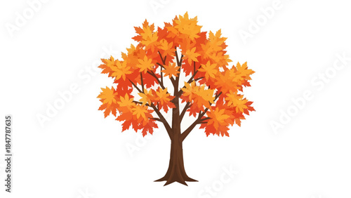 A tree with orange and red leaves on a white background