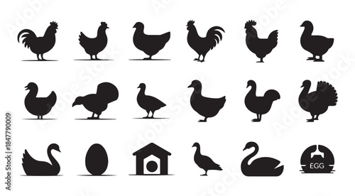 Farm animals and birds vector icon set, hen, rooster, duck, turkey, goose, swan, egg, coop silhouettes
