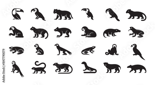 Rainforest animal vector silhouettes including toucan, jaguar, sloth, frog, armadillo, and parrot