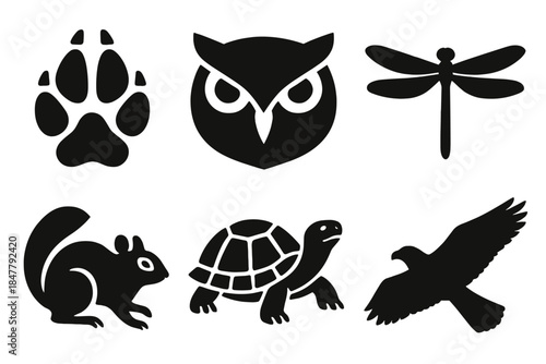 Nature Creature Icons. Nature Creature Snapshots silhouette set: fox track, owl gaze, dragonfly rest, turtle bask, chipmunk scurry, hawk silhouette.