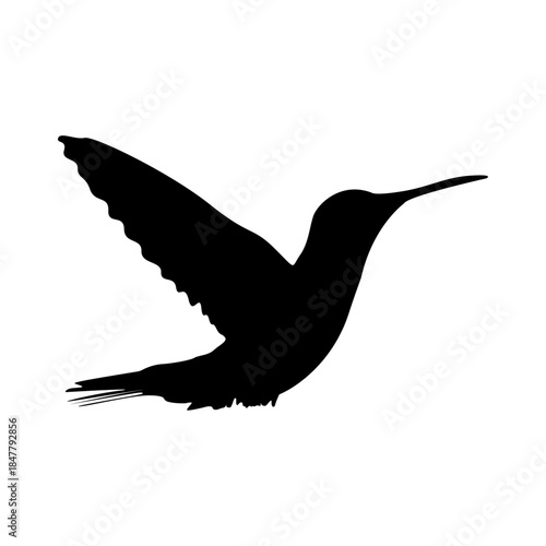 A sleek, dark vector graphic of a fast-flying hummingbird. This monochrome illustration emphasizes the bird's quick movement and grace.Clean and professional outline art.