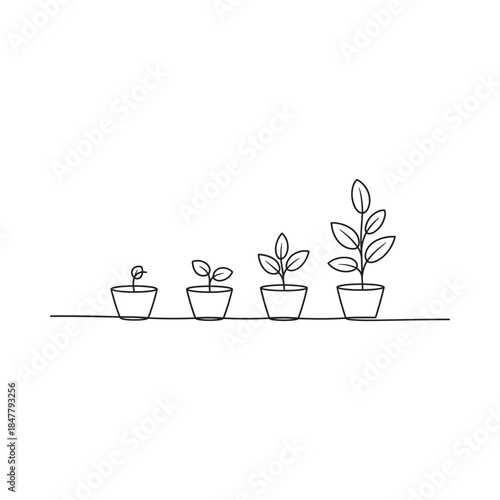 A simple illustration depicting the stages of plant growth from seed to maturity
