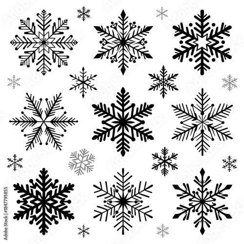 [Vector EPS]Diverse set of black and white snowflakes with various shapes and designs