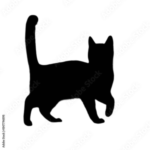 black cat silhouette