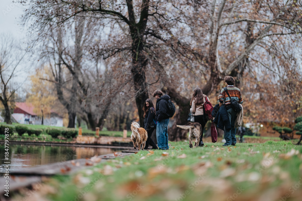 Obraz premium Teenagers walk with dogs along a park path by a calm pond, capturing a relaxed autumn scene.