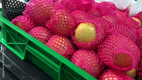 Net-Wrapped Guavas in a Green Crate