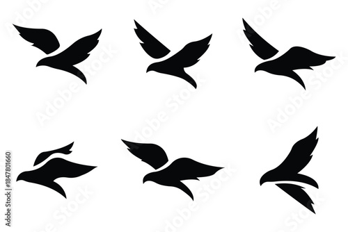 Titmouse and Phoenix Bird Icon Set – Vector Silhouettes, Flat Cartoon Character, Wings Badges, Stylized Bird Illustrations, Cute Bird Design