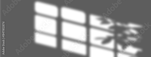 shadow overlay effects of realistic window and tree branch shadow with light blur on transparent background,Summer sunlight and dappled shadow overlay effect