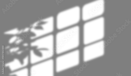 shadow overlay effects of realistic window and tree branch shadow with light blur on transparent background,Summer sunlight and dappled shadow overlay effect