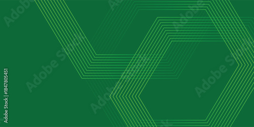 Fototapeta Naklejka Na Ścianę i Meble -  Dynamic Flow Hexagon Line Art Background Background, Vector illustration.