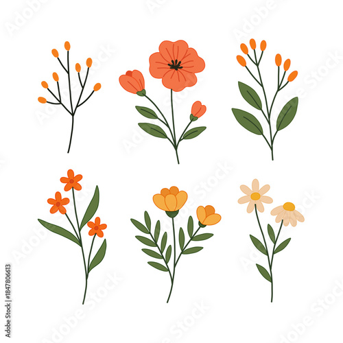 Cute Hand drawn Assorted Floral Botanical Plant Set Illustration Design Elements