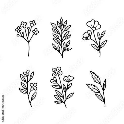 Minimalist Hand drawn Assorted Floral and Leaf Twigs Line Art Illustration
