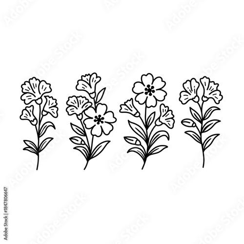 Minimalist Line Art Delicate Flower Branch with Leaves Illustration