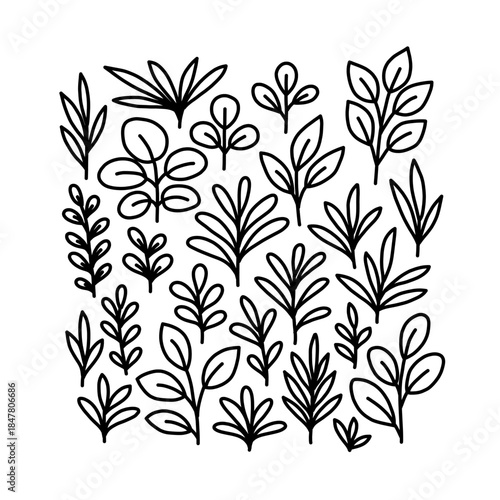 Minimalist Hand drawn Black Line Leaf Sprig Element Doodle Illustration