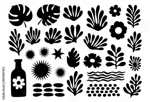 Set of modern abstract black silhouette shapes with monstera leaf, botanical plants, flowers, a vase, sea urchin, star, wave and dot pattern elements