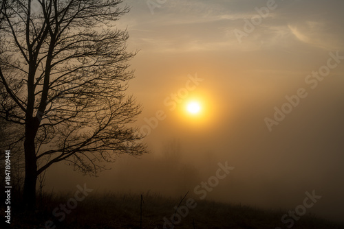 Park forest near old chapel trees sunrise fog in winter evening in Cesky Krumlov