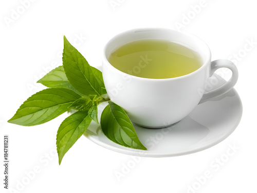 Green Tea Cup with Fresh Leaves on White. Healthy Herbal Beverage. on white background