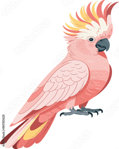 Beautiful Pink Parrot Bird Graphic Design Isolated On A Plain White Background