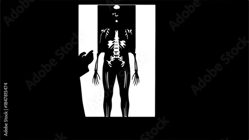 Skeleton xray with dog and white background
