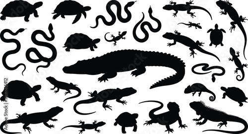 Reptile amphibian silhouettes, turtle snake lizard chameleon crocodile poses, wildlife taxonomy theme, flat vector illustration, cad drawing, stock asset