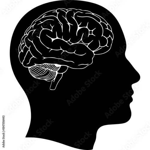 Human head silhouette with brain with transparent background