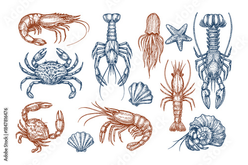 Hand Drawn Crustacean Seafood Illustration Vector Set in Vintage Engraving Style, Black and White Crab Lobster Shrimp Collection