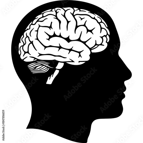 Human head silhouette with brain with transparent background