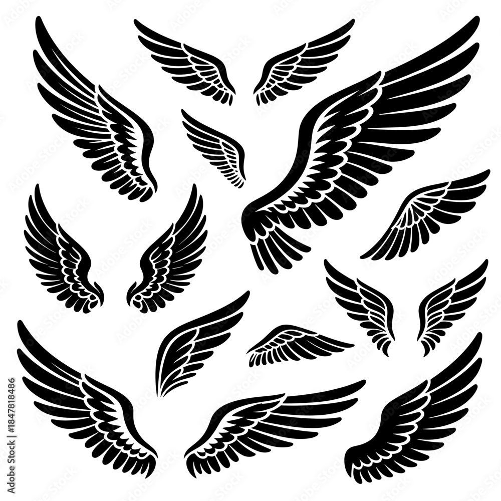 Fototapeta premium [Vector EPS]Set of various black wing illustrations for design purposes