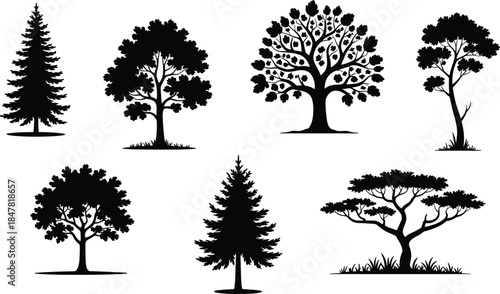 Tree silhouette set, black foliage icons, coniferous and broadleaf species, botanical diversity, flat vector, CAD drawing illustration