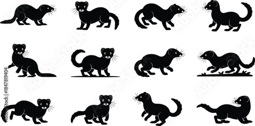 Weasel ferret silhouette set, animal motion, black vector, crouch leap walk pose, flat illustration, wildlife icon, dynamic shape, nature