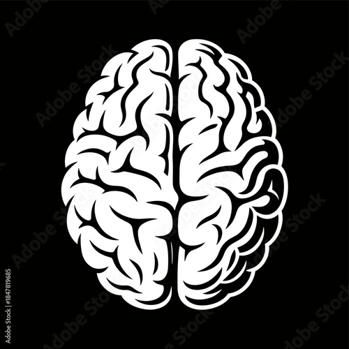 [Vector EPS]Detailed Illustration of a Human Brain Structure
